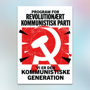 Program for Revolutionært Kommunistisk Parti (Pjece)