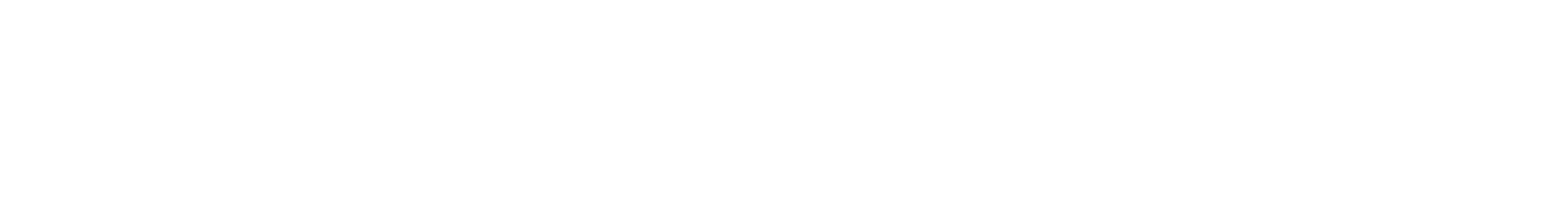 light logo